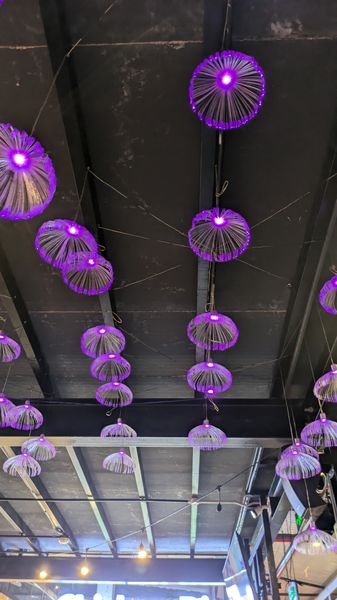 Decorative purple pendant lights mounted along a commercial ceiling